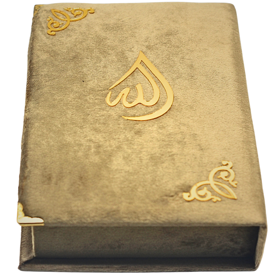 B76V1-GOLD FANCY QURAN BOX GOLD VELVET FOR 14x21 cm